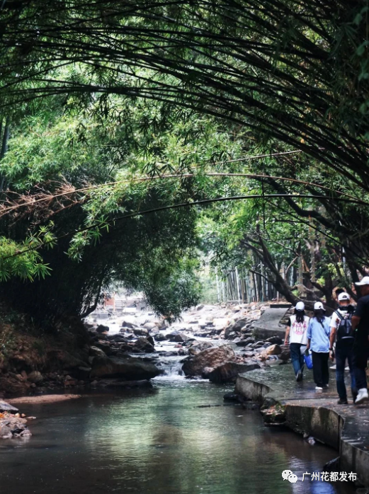 狮前村旅游景点图片