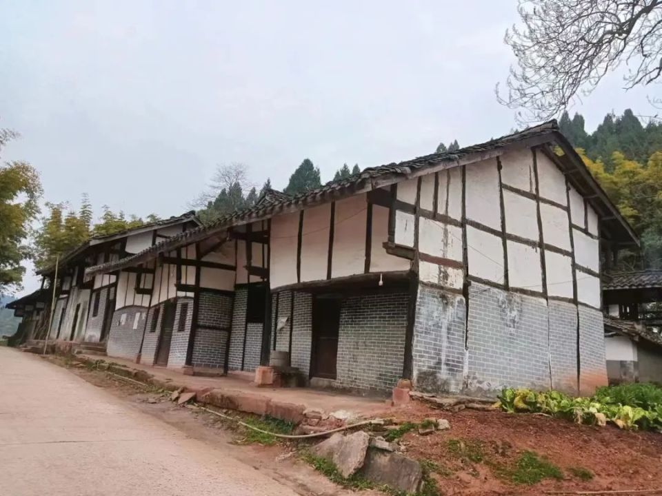 位于新复乡牧马岭村的徐家大院中,一位早已等候的老人,以解说员的身份