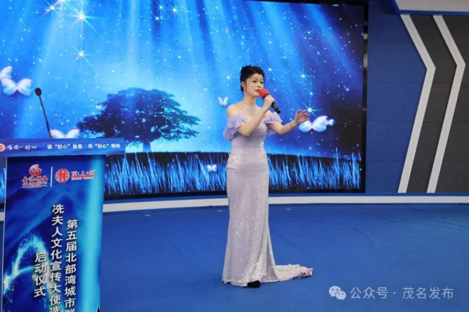 北部湾城市群冼夫人文化宣传大使选拔赛来了!