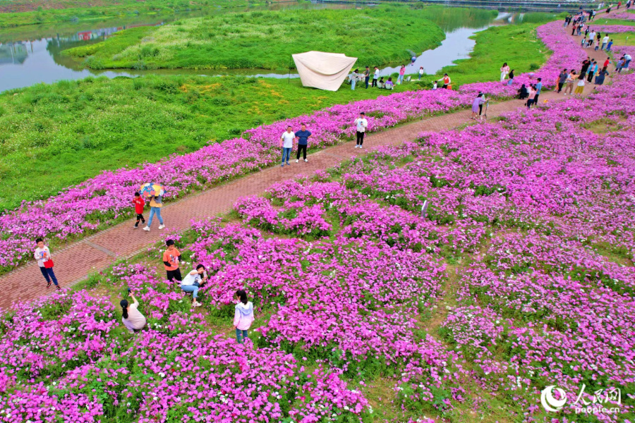 厦门市千年银城四海同安主题ip全球设计征集活动启动