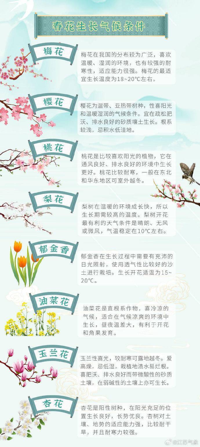 江苏最全赏花时间表出炉!