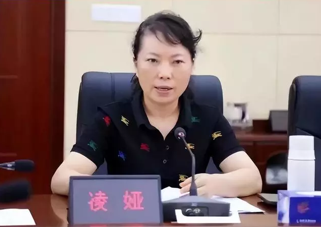 株洲公安原副局长凌娅投案背后:丈夫已被带走,被指曾恐吓举报人并涉