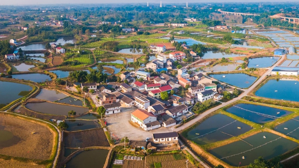 情暖詹井沿滩区700名老人团聚喜吃坝坝宴