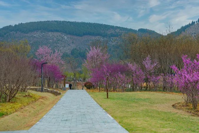 萧县植物园是依附自然山体而建的郊野型植物主题公园,园区融合植物园