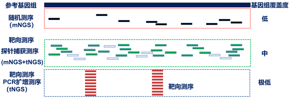 怎么鉴定呼吸套装真伪任丽丽教授：如何判断“责任病原体”？基于病原学研究进展如何优化我国呼吸道感染诊疗的探讨？——呼吸道感染病原的甄别与诊断_https://www.jmylbn.com_新闻资讯_第6张