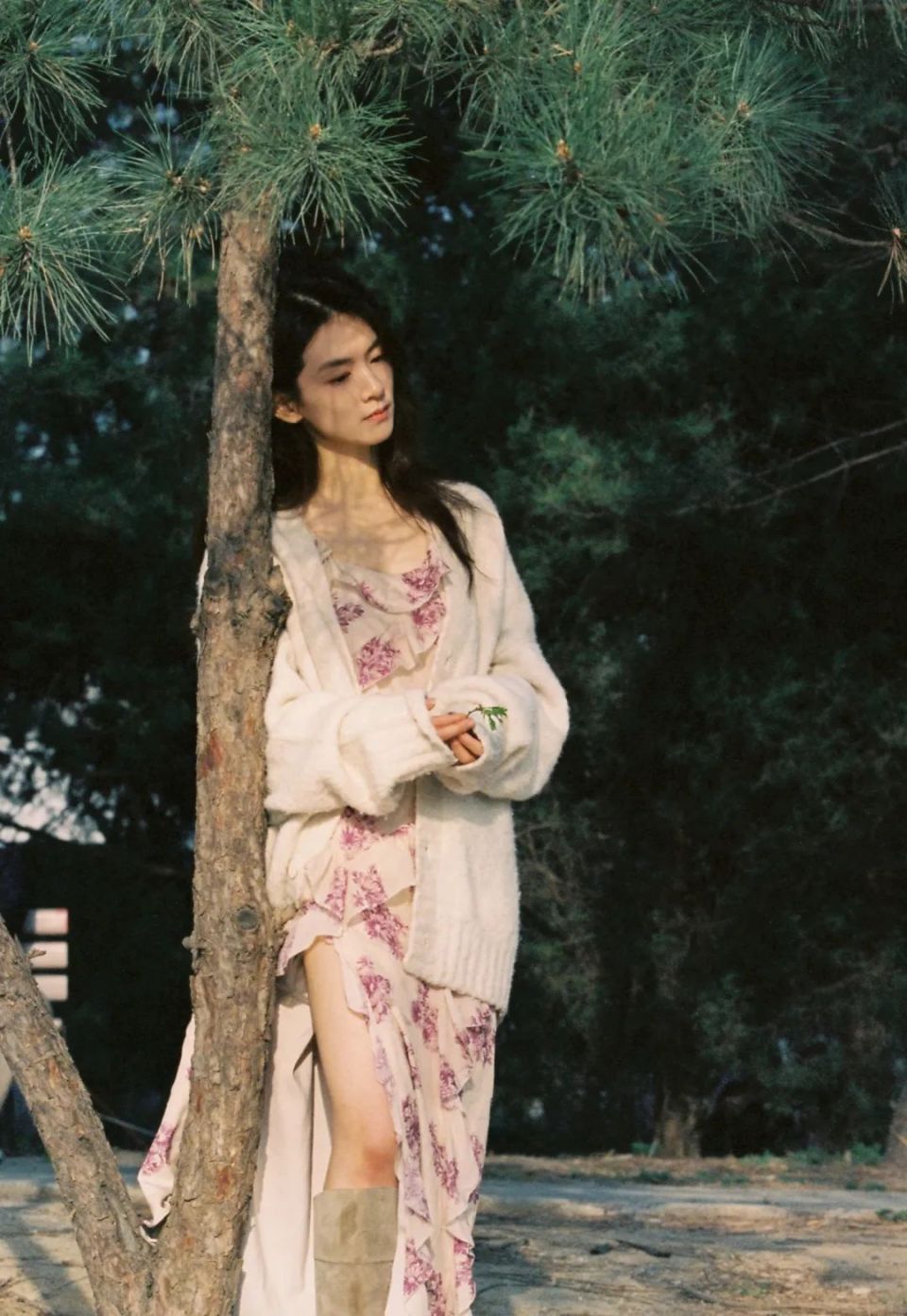 陈昊宇怎么就在姐姐中"杀"出了重围?