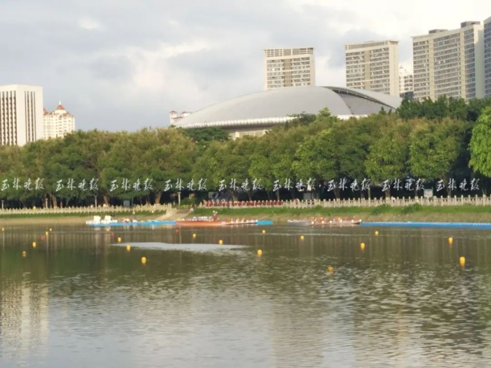 6月7日下午,记者看到南流江城区河段参加龙舟赛的16条龙舟已经运达江