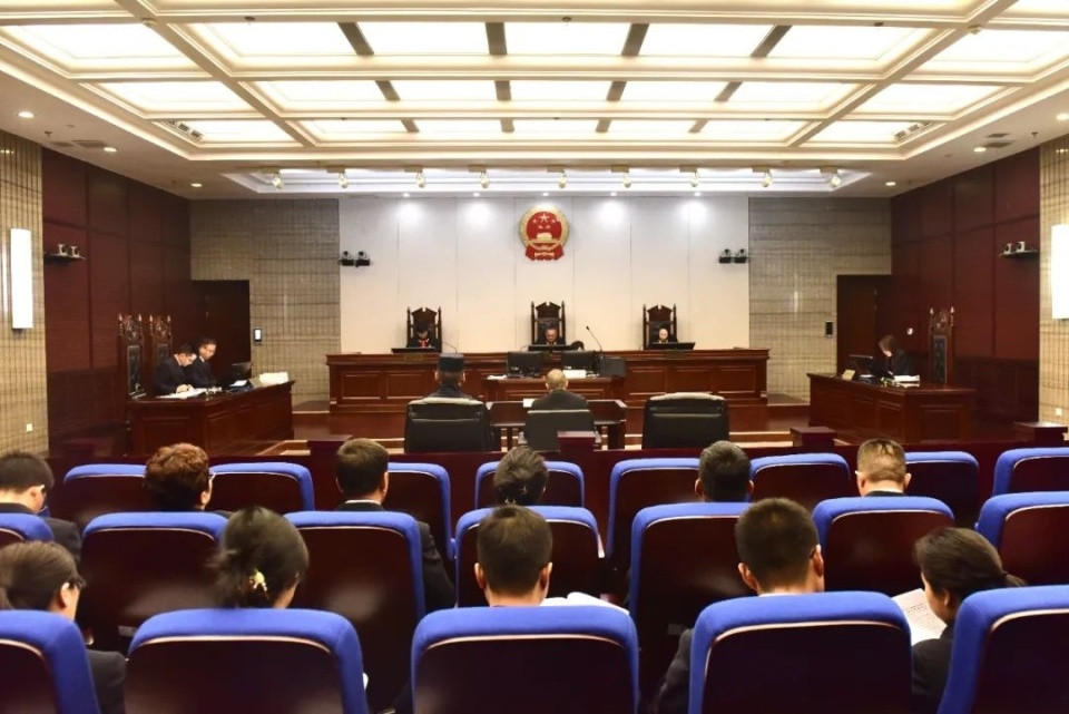 部分人大代表,政协委员等及被害人亲属旁听了庭审.