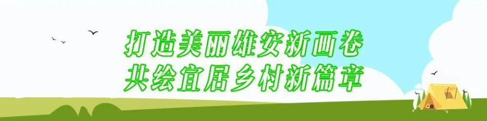 “美丽庭院”在身边丨刘景如：打造梦幻花园、浪漫诗意美景