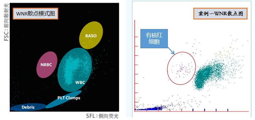这样的散点图你会分析吗