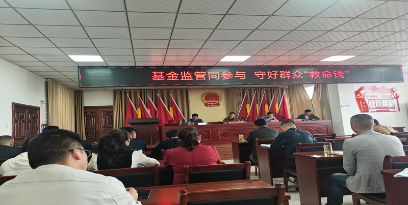 寿县保义镇开展"基金监管同参与 守好群众救命钱"医保基金监管集中