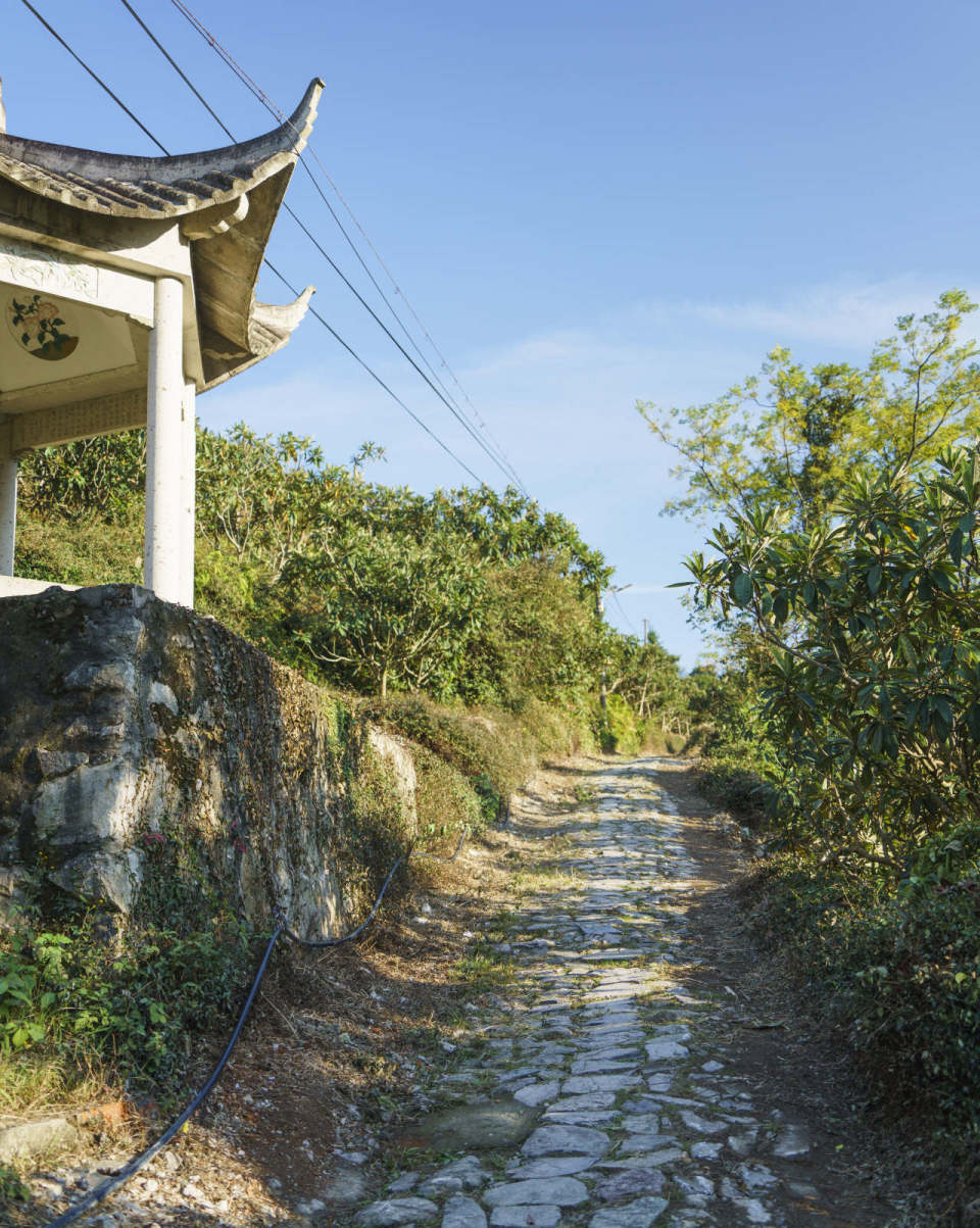 台州这个村里无人姓唐,为何村庄叫唐家岙?