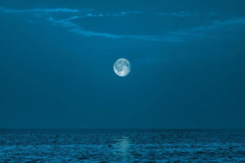 夏夜月光,落在谁的身上?_腾讯新闻