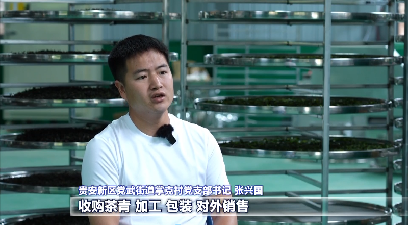 随后张兴国组织了几个和他一样的青年村干部,成立了茶叶专业合作社.