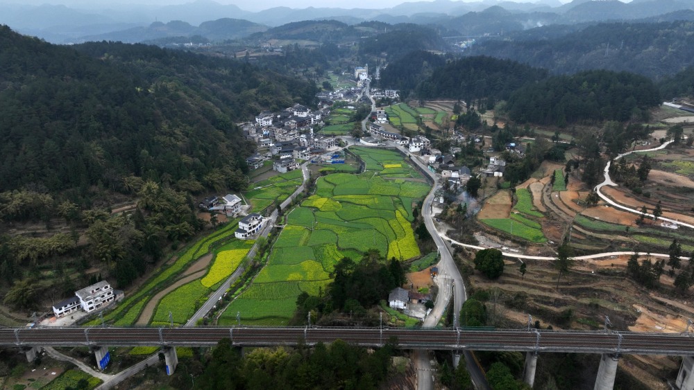 贵阳王岗村图片