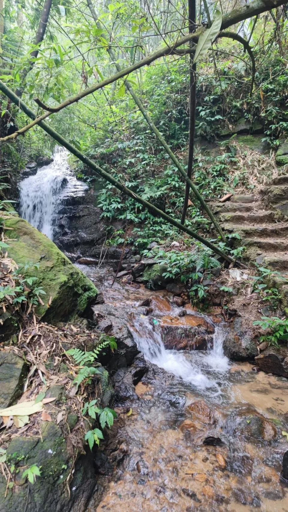 还剩半个月!云南这一奇观,世界罕见!