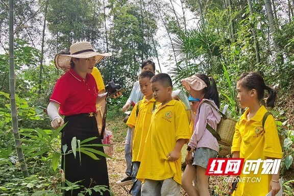 搞笑金银花图片图片