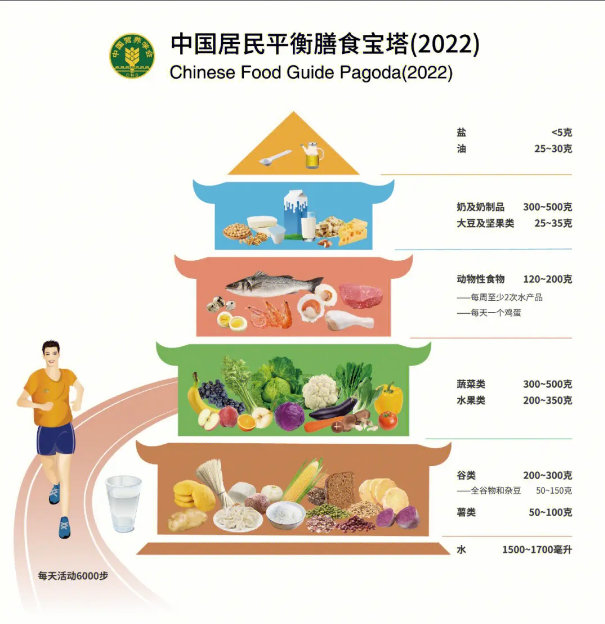 每天摄入营养比例图图片