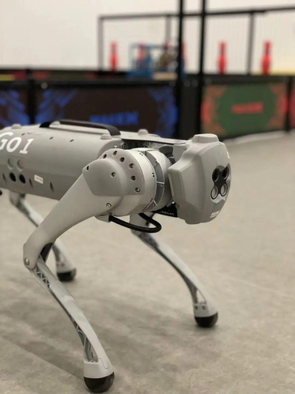 亚运会赛场上的显眼包机械狗在奉贤海之花也能遛