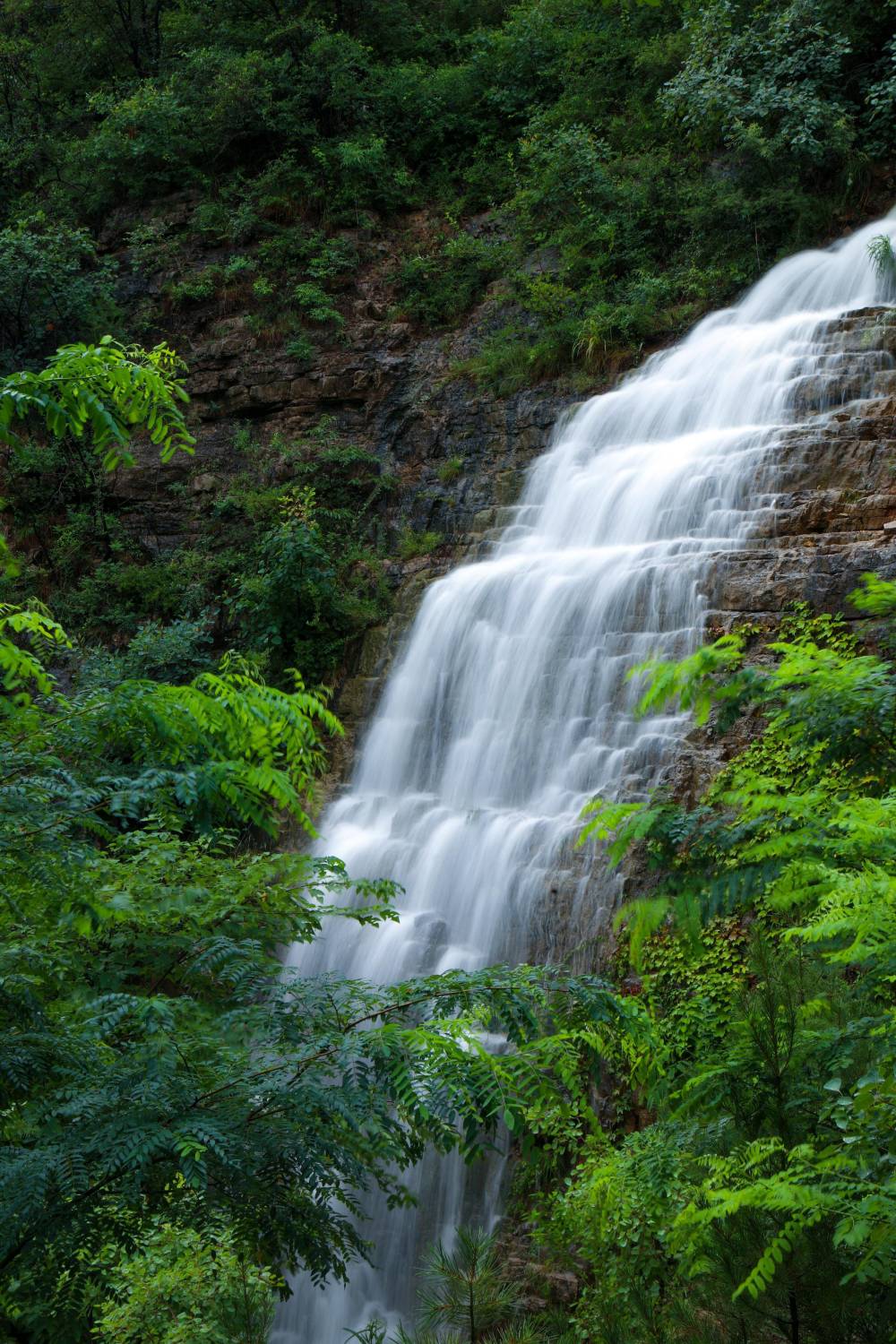 夏天的景色 雨后图片