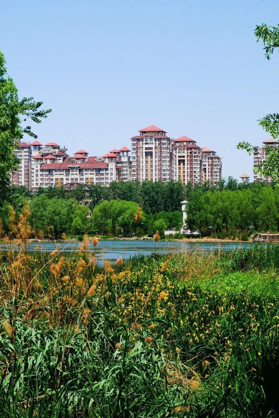 快来这5处湿地公园拥抱夏天|city