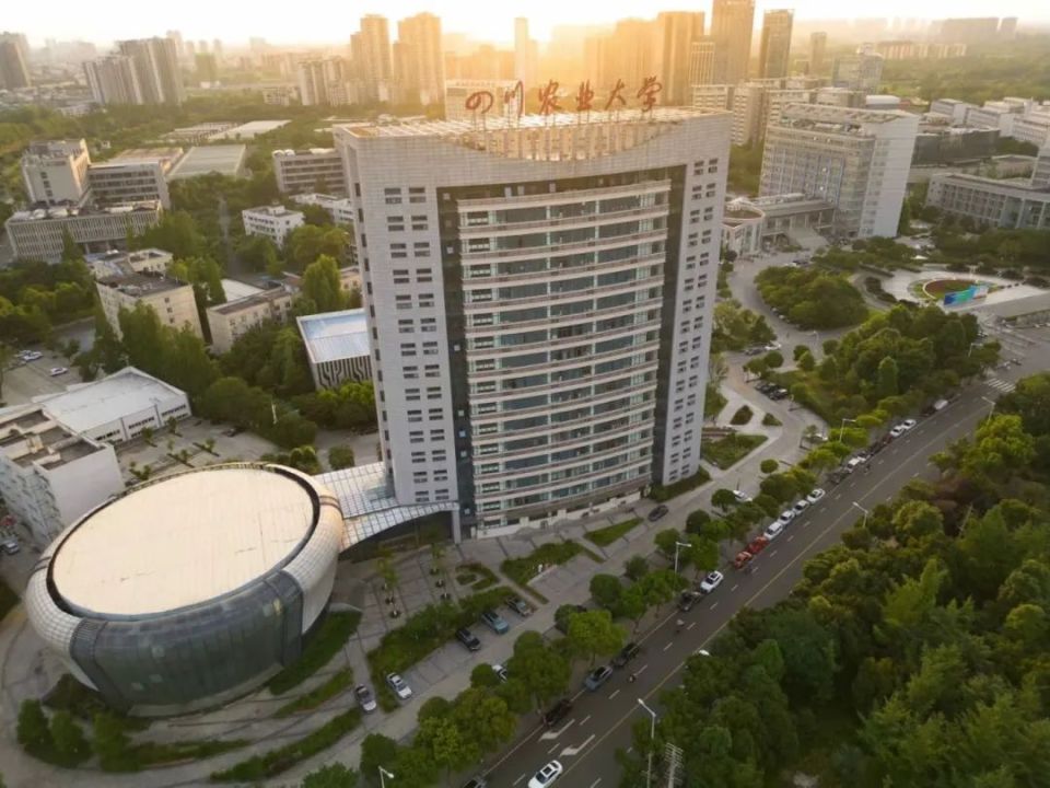 四川欢迎你 圆好大学梦——四川农业大学_腾讯新闻