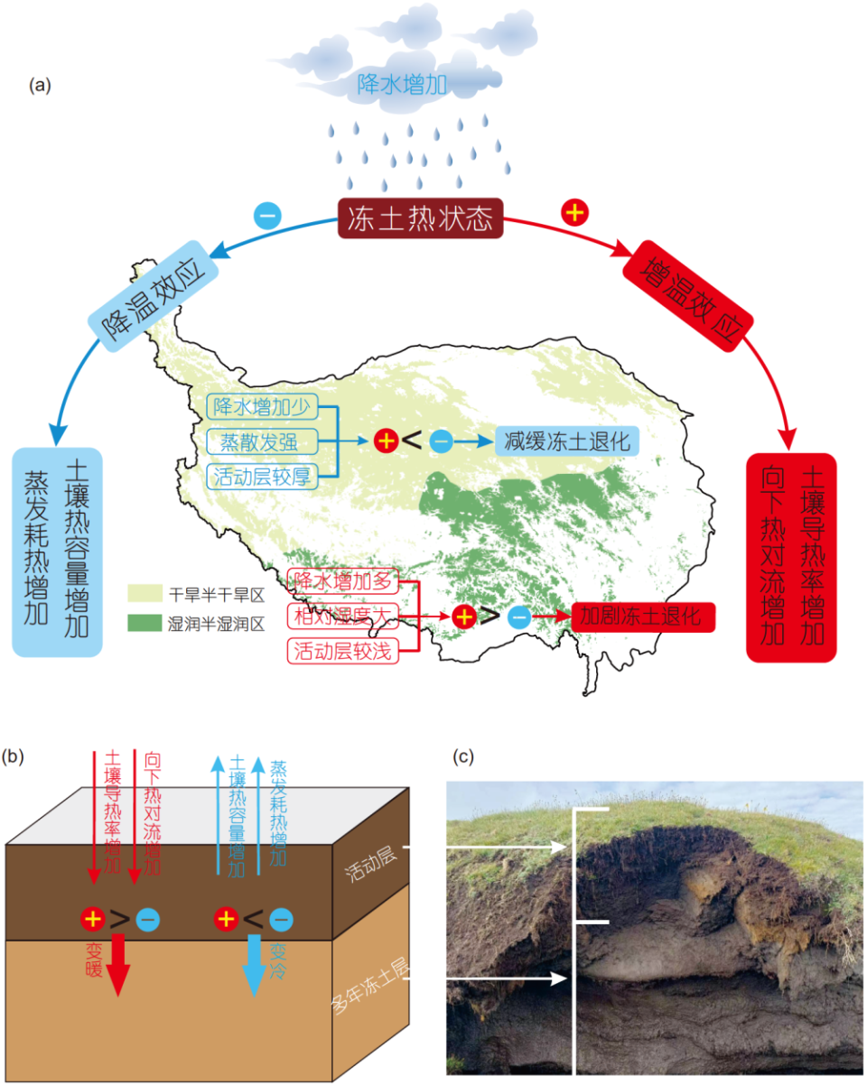 青藏高原持续变湿是否会加速多年冻土的退化进程?