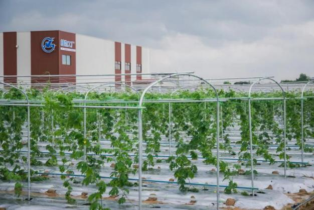 "幸福百千万 共话新花城"2024年网络大v行活动顺利举办