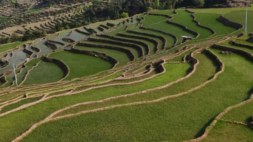 高考生,免费畅游撒玛坝万亩梯田景区 更多福利
