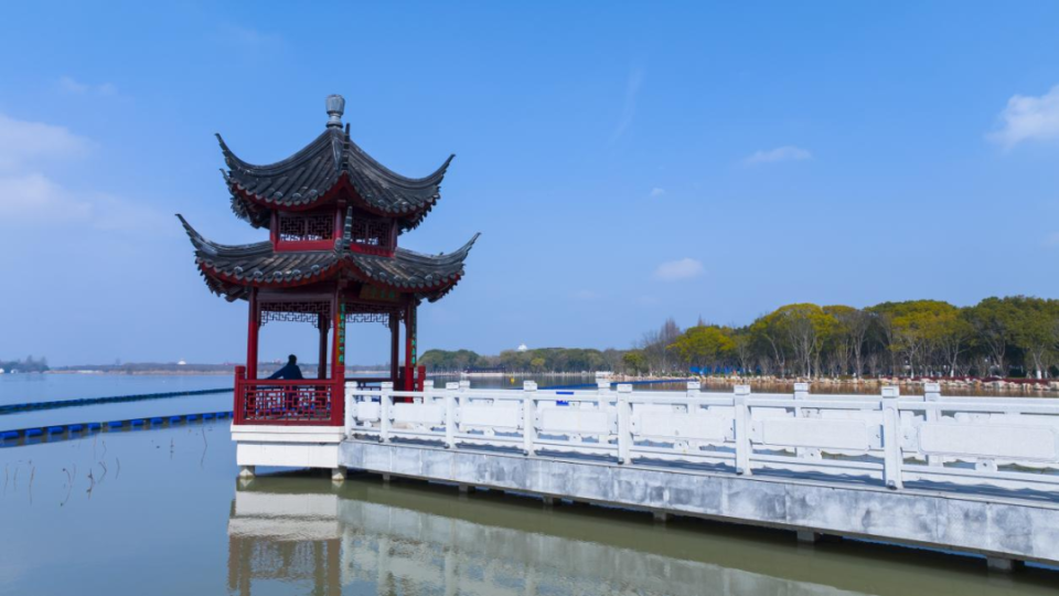 夏日"沪"水游丨青浦:元荡湖畔生活图鉴 美好生活当如是