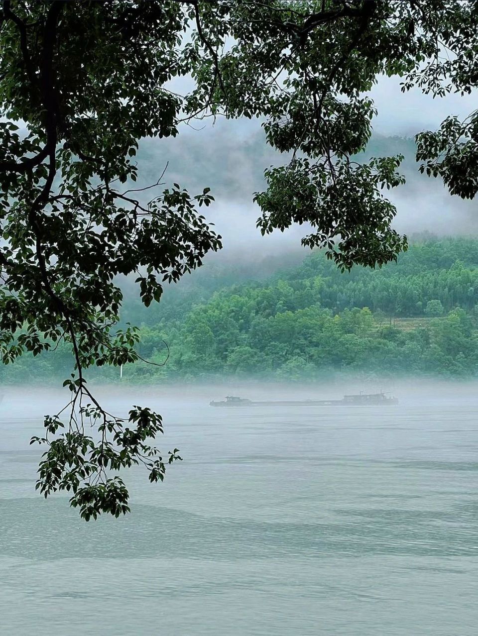 雨中江南风景图片大全图片