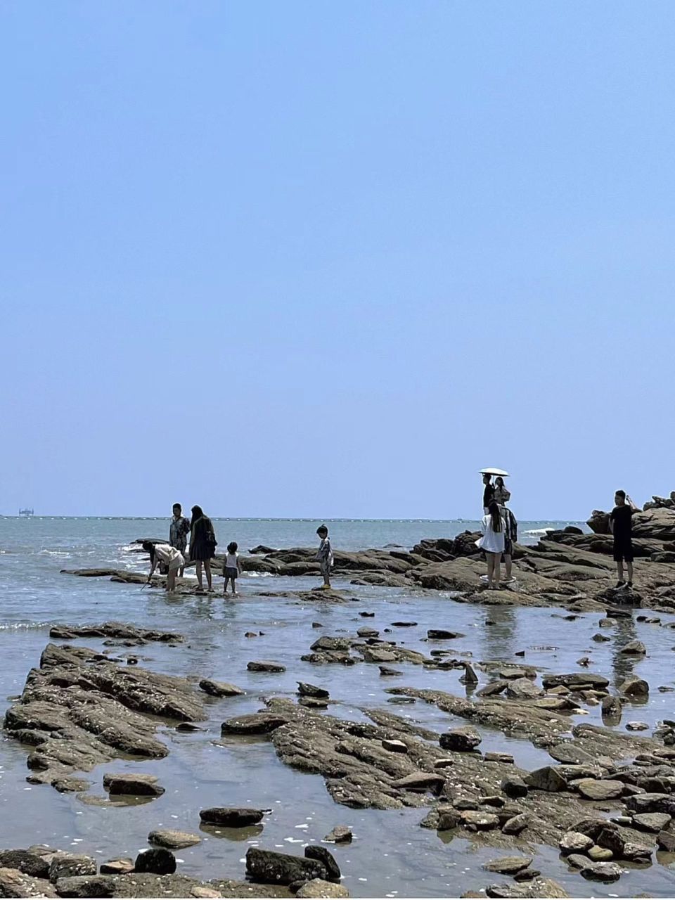 日照已回,带娃去赶海真心建议