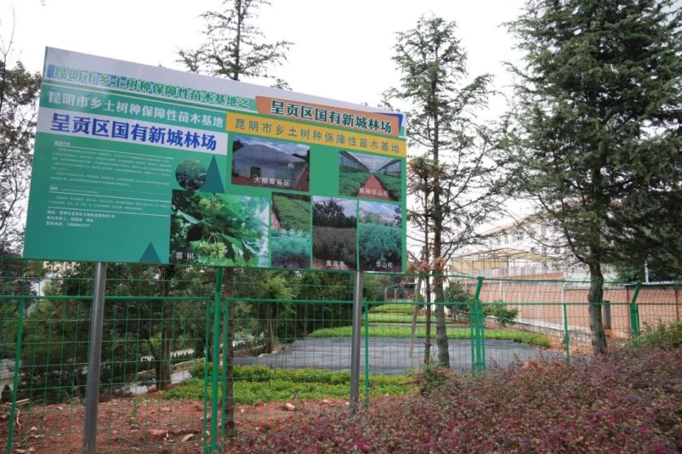 呈贡区推进保障性苗圃建设成效显著