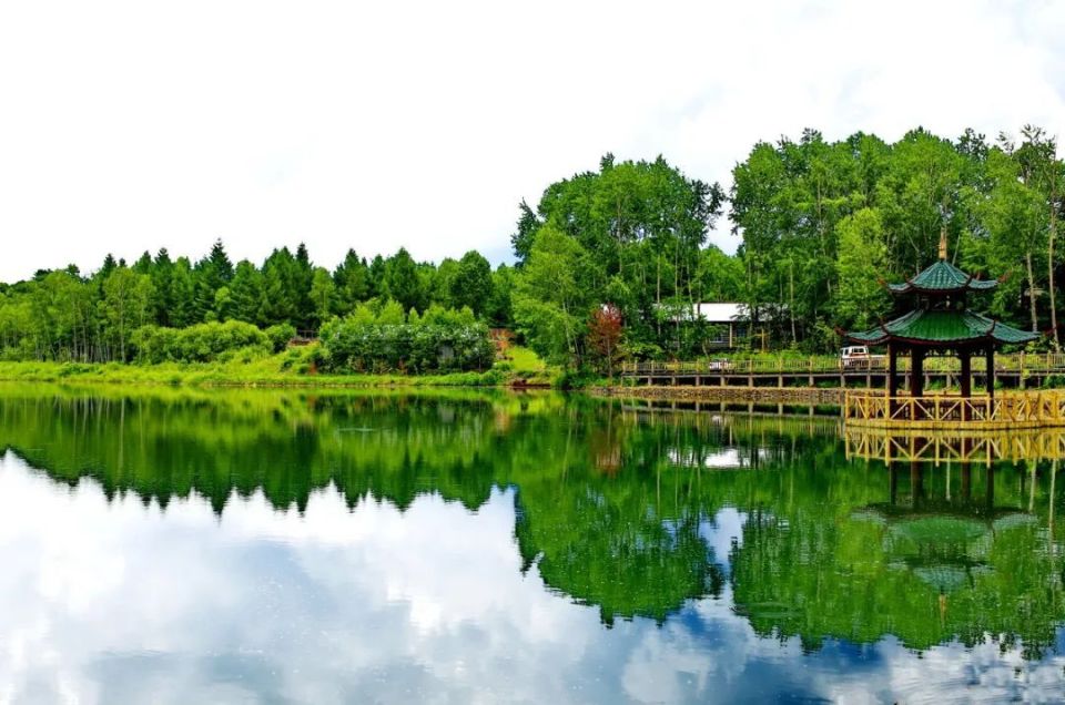 春游白山 奔赴诗和远方 | 我和春天有个约会,打卡白山市抚松县