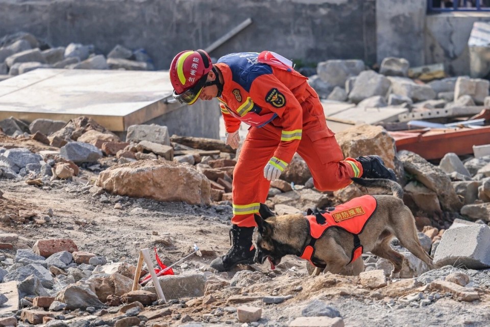 全国搜救犬比武:甘肃消防团体第一!_腾讯新闻