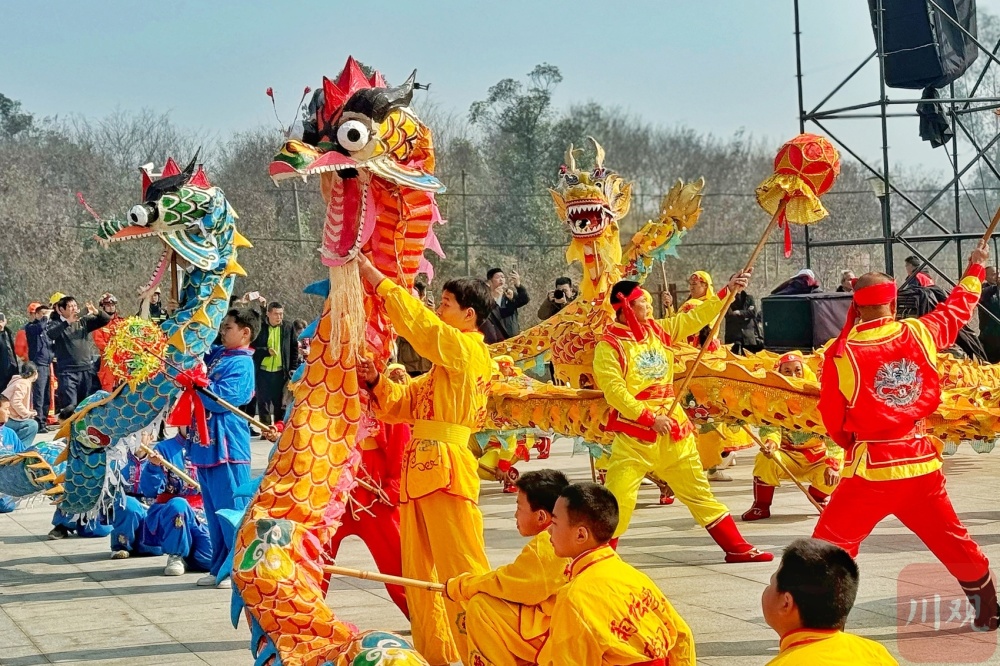 二月二泸县群龙抬头重庆非遗登台亮相