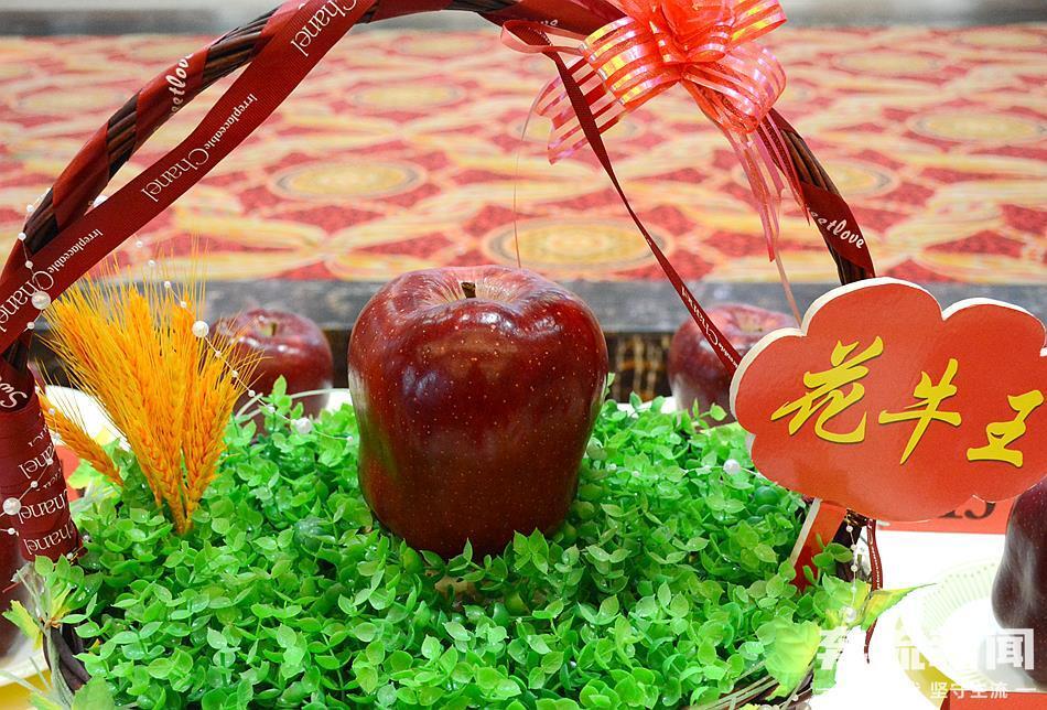 2023年天水"花牛王"拍出28888元_腾讯新闻