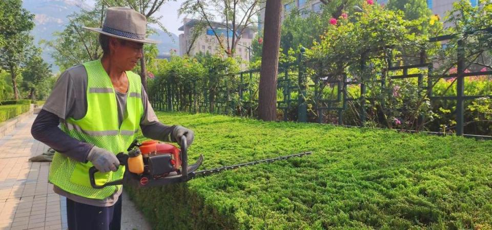 园林景观设计：构建城市绿肺