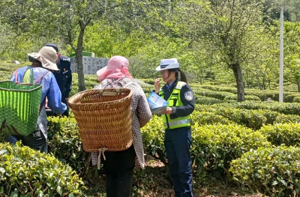 永平县公安局交警大队按照上级公安机关要求部署,以谷雨春茶节活动