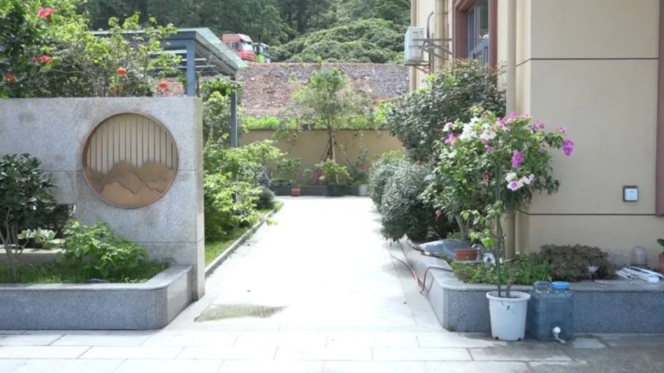 夏有荫,秋有果,冬有青,四季花香,这是巽寮村村民胡应发的美丽庭院