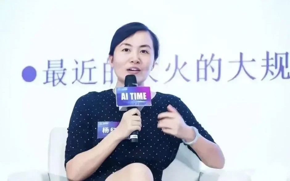 马斯克旗下xAI公司B轮融资60亿美元，精准学获阿里2亿投资，快手AI高管付瑞吉离职｜每周AI世界观 · 原文图片 20
