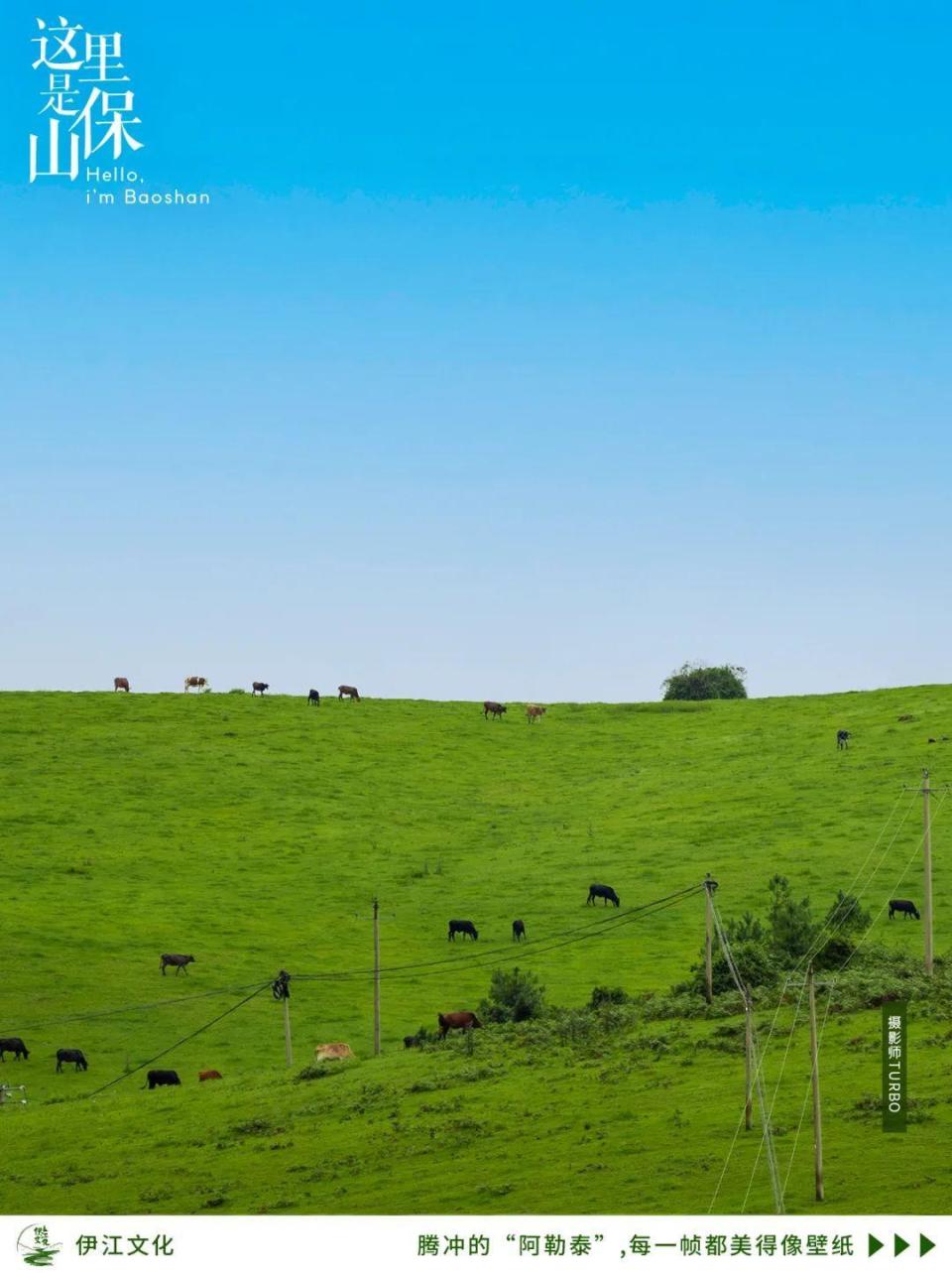 腾冲的"阿勒泰",每一帧都美的像壁纸