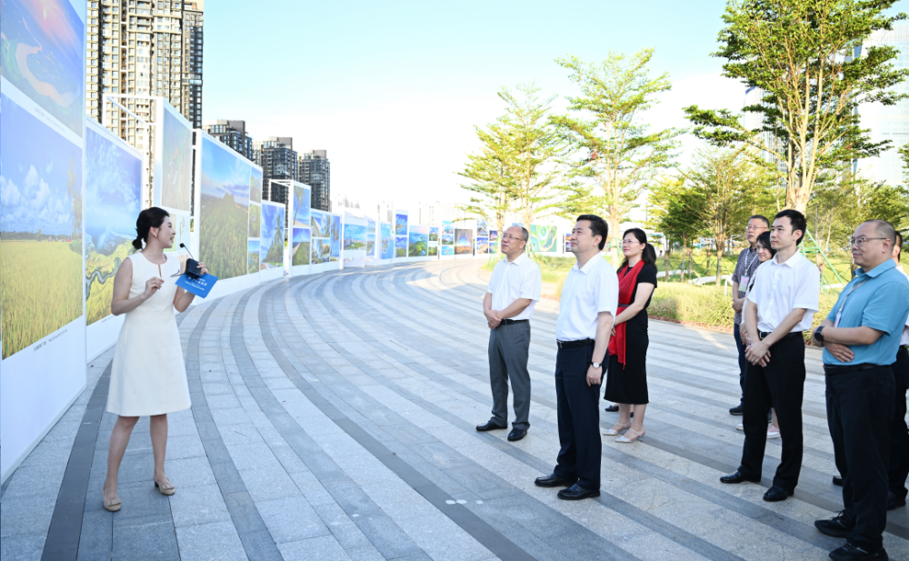 海南省委常委,市委书记罗增斌出席开幕式并观展,华晓东,刘华,黄舸