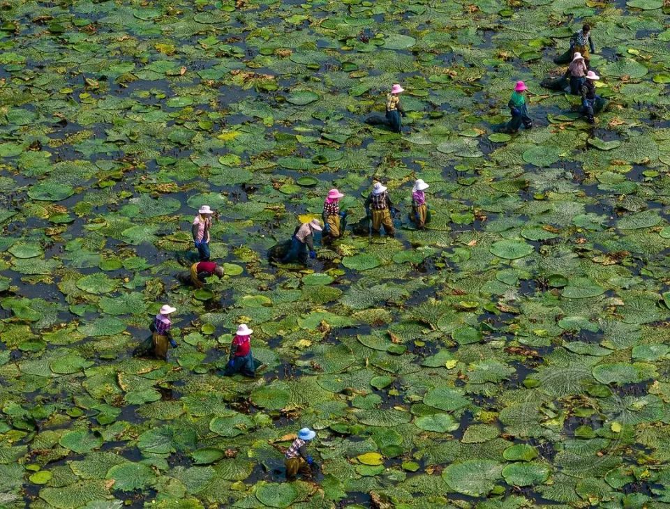 阜阳航拍 | 第四届"鸟瞰视界"全国航拍大赛投稿作品精选