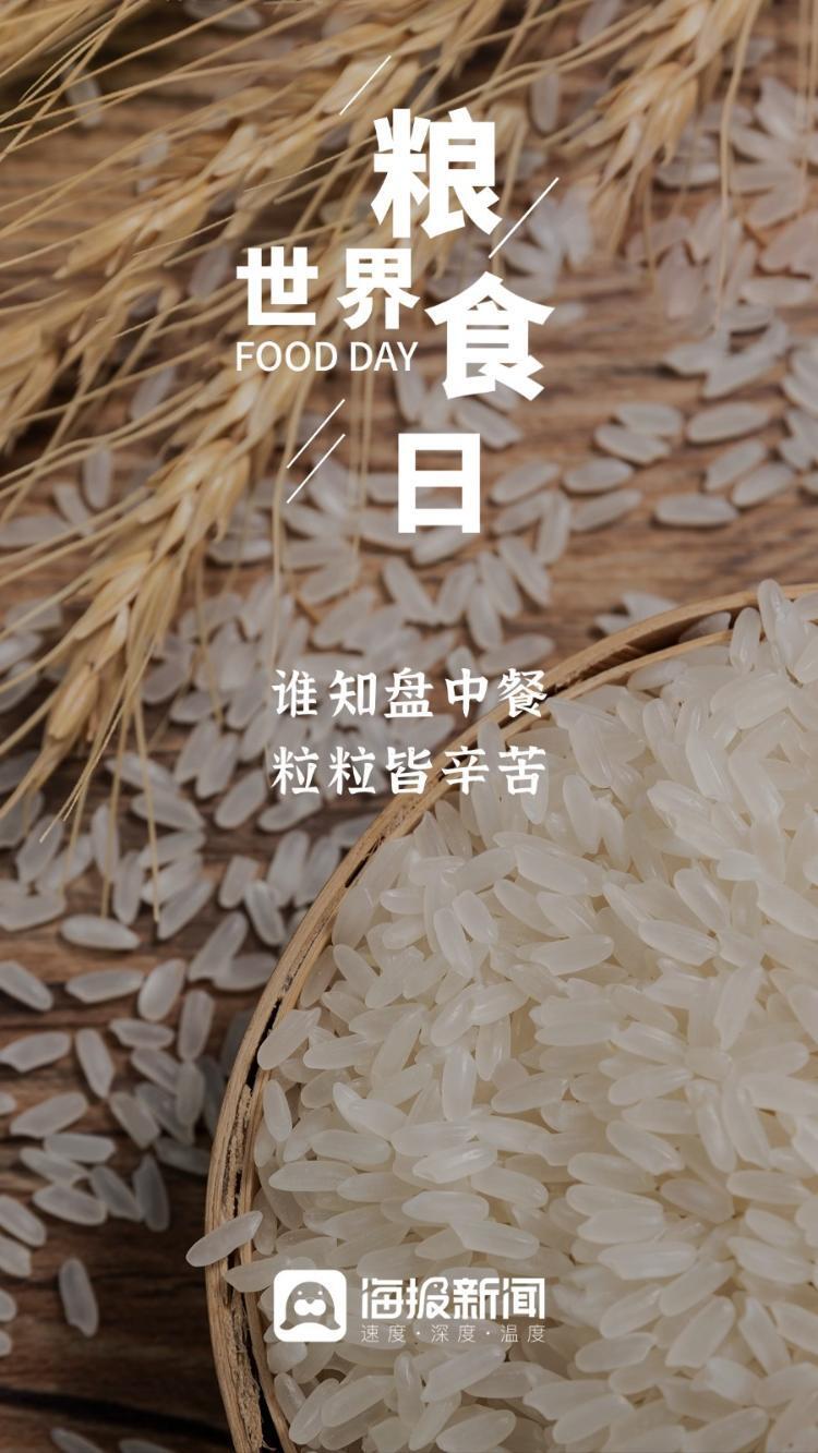 海报图品|世界粮食日:粒粒皆辛苦
