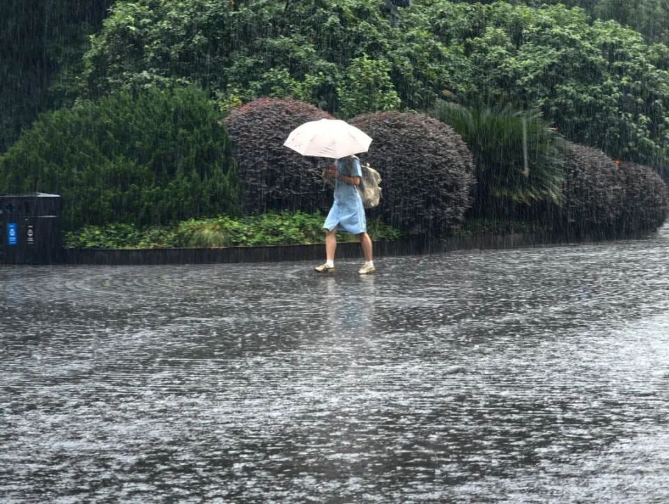 下暴雨图片风景图片