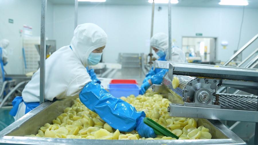 "这是为蜜雪冰城做的水蜜桃果粒浆,年后新接了300吨的订单,预计在十五