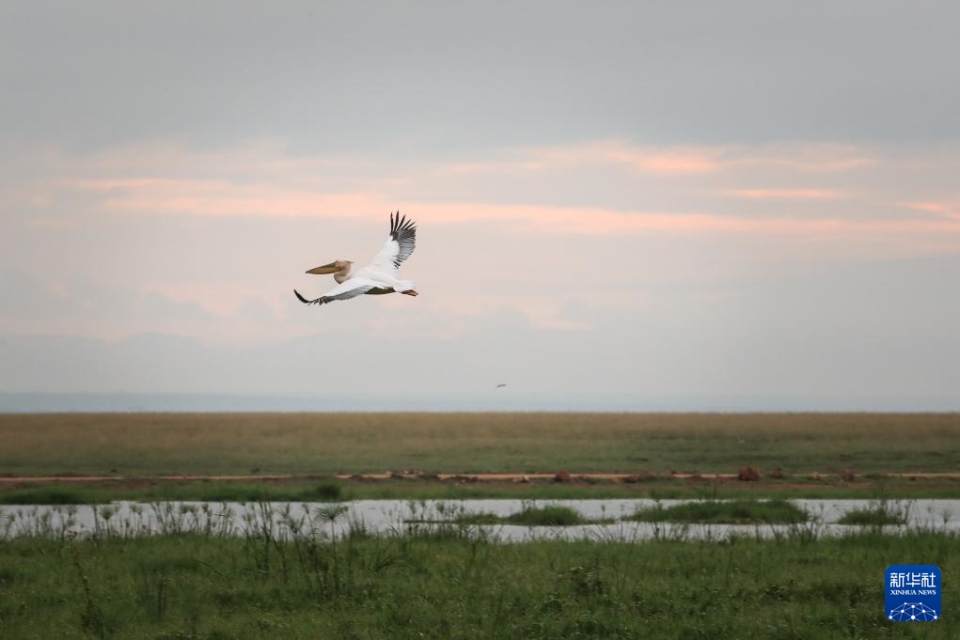 国际热图:2024年4月24日-2024年5月7日