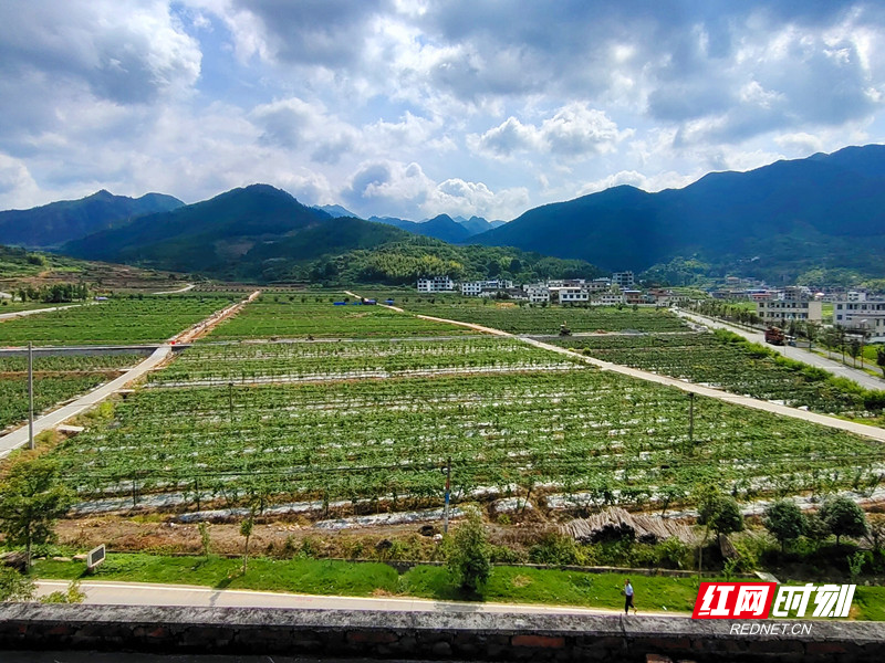 汝城县文明瑶族乡:让"民生愿景"变成"幸福实景"