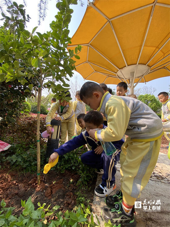 植树添新绿度假区第一幼儿园开展植树节活动